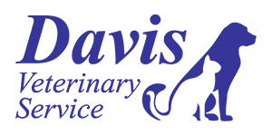 David Veterinary Service