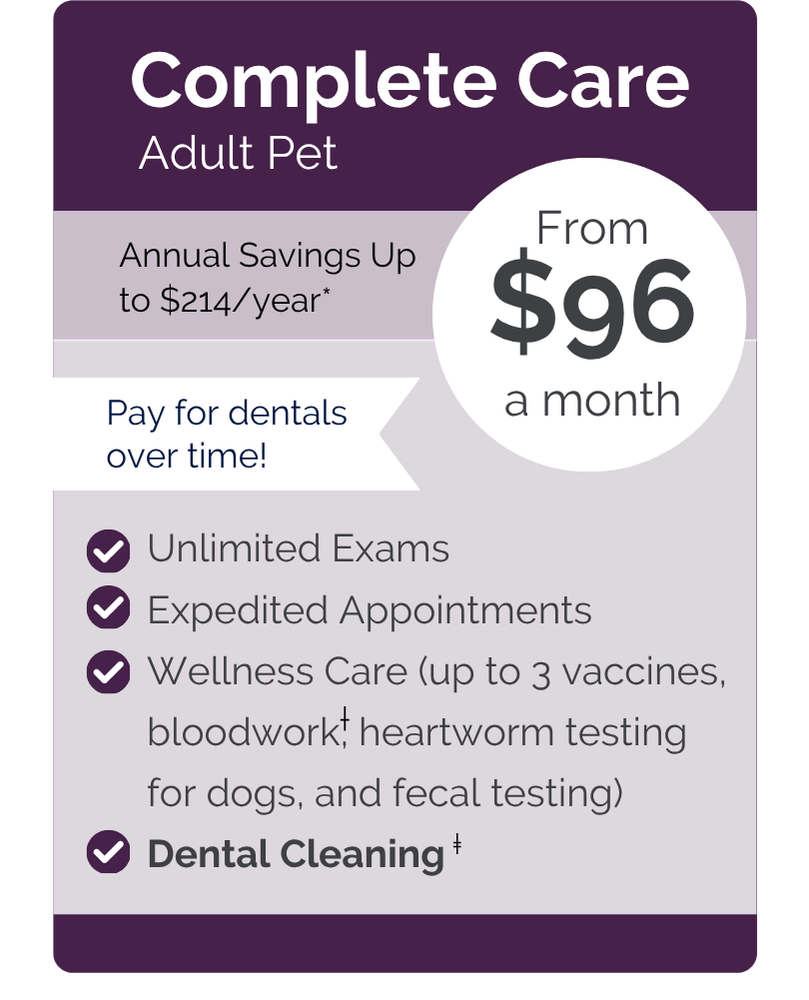 Davis VIPet Plan_pricing_Wellness_Modern